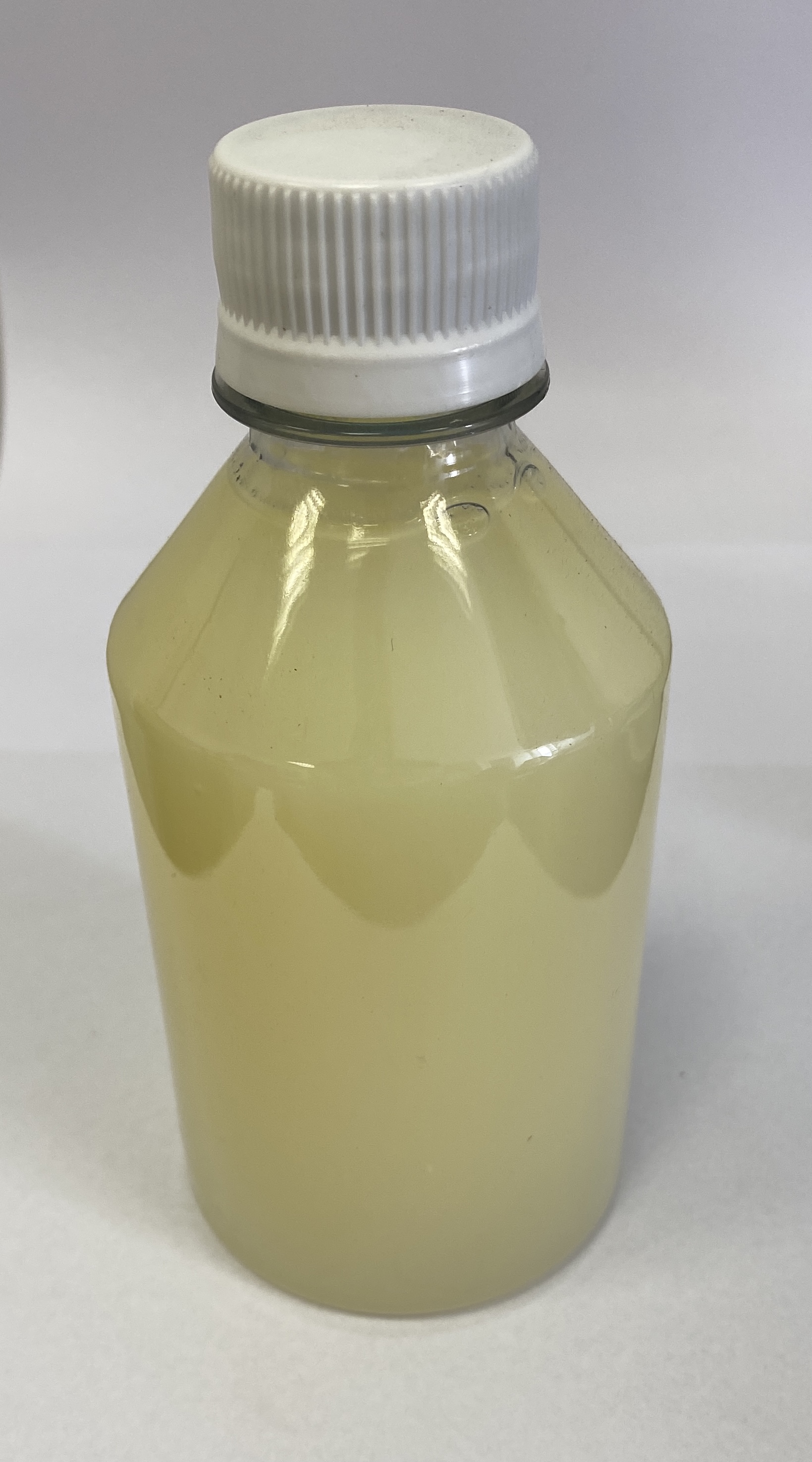 Detergente - 250 ml.jpeg